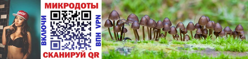 хочу наркоту blacksprut ТОР Галлюциногенные грибы Psilocybe Яхрома